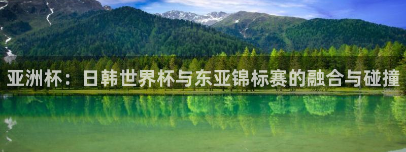 世界杯预选赛欧洲赛区积分榜：亚洲杯：日韩世界杯与东亚锦标赛的融合与碰撞