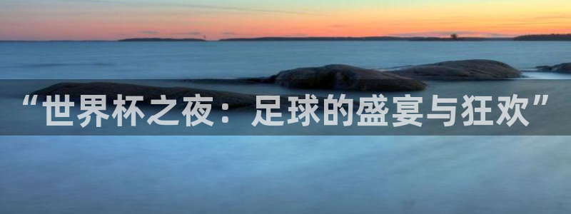 世界杯 直播：“世界杯之夜：足球的盛宴与狂欢”