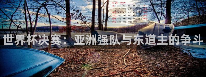 2026世界杯赛制：世界杯决赛：亚洲强队与东道主的争斗