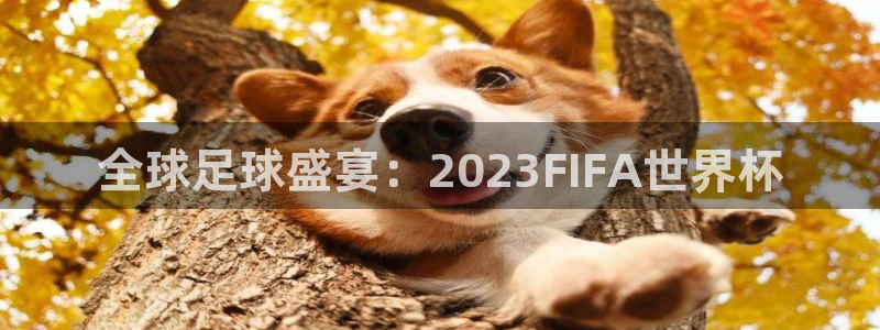 2026世界杯赛：全球足球盛宴：2023FIFA世界杯