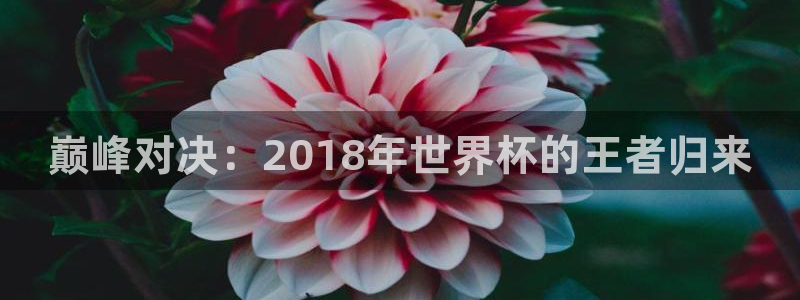 2026世界杯对阵图：巅峰对决：2018年世界杯的王者归来