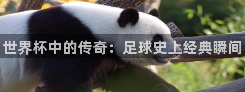 足球世界杯赛程：世界杯中的传奇：足球史上经典瞬间