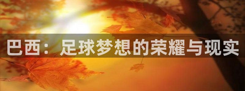 世界杯系列赛：巴西：足球梦想的荣耀与现实