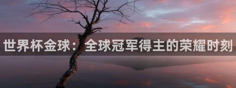 2026男足世界杯：世界杯金球：全球冠军得主的荣耀时刻