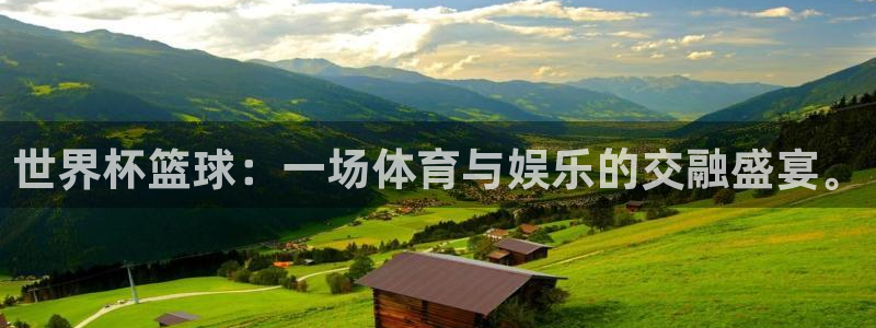 世界杯球队：世界杯篮球：一场体育与娱乐的交融盛宴。