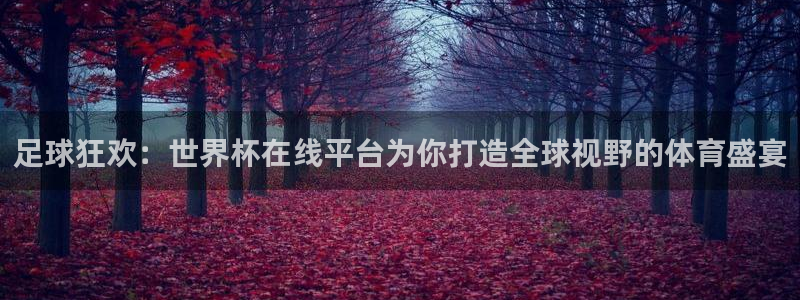 2026世界杯欧洲预选赛赛程表：足球狂欢：世界杯在线平台为你打造全球视野的体育盛宴