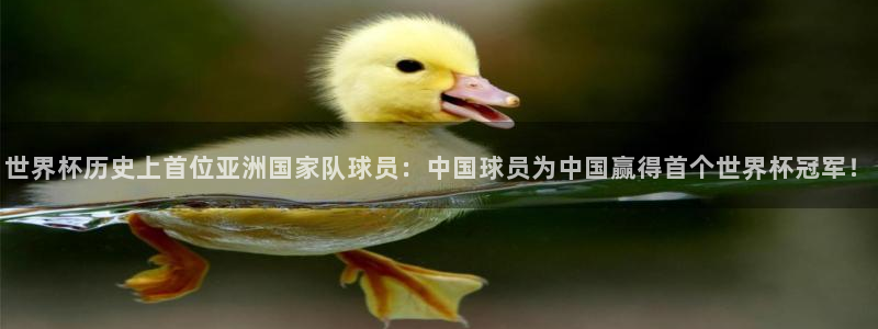 世界杯预赛赛程：世界杯历史上首位亚洲国家队球员：中国球员为中国赢得首个世界杯冠军！