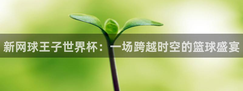 世界杯足球2026：新网球王子世界杯：一场跨越时空的篮球盛宴