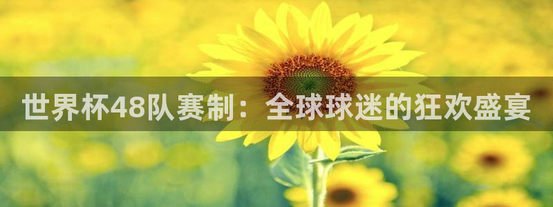 世界杯球队排名:世界杯48队赛制:全球球迷的狂欢盛宴