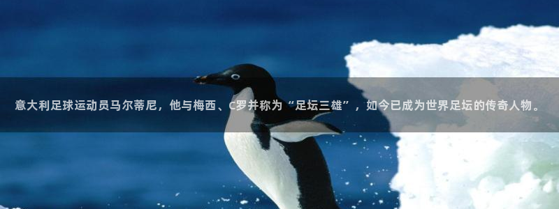 2026世界杯足球赛程时间表:意大利足球运动员马尔蒂尼,他与梅西、C罗并称为“足坛三雄”,如今已成为世界足坛的传奇人物。