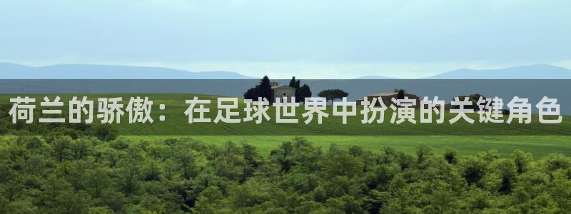 世界杯预选赛2026：荷兰的骄傲：在足球世界中扮演的关键角色