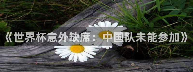 世界杯今年：《世界杯意外缺席：中国队未能参加》